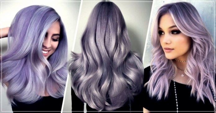 Lavender-Gray-01